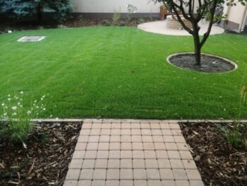 {{brizy_dc_image_alt entityId=