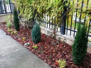 {{brizy_dc_image_alt entityId=