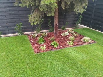 {{brizy_dc_image_alt entityId=