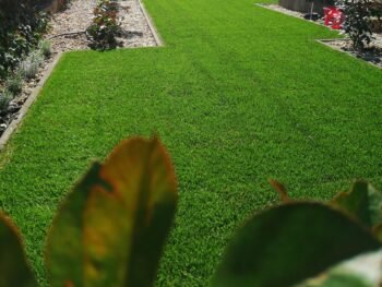 {{brizy_dc_image_alt entityId=