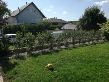 {{brizy_dc_image_alt entityId=